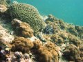 Unterwasserbilder Foto