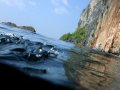 Unterwasserbilder Foto