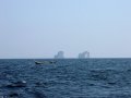 Unterwasserbilder Foto