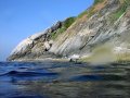 Unterwasserbilder Foto
