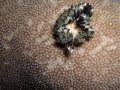 Unterwasserbilder Foto