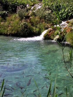 Nationalpark Plitvice / Plitvicer Seen